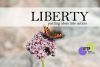 liberty2 n